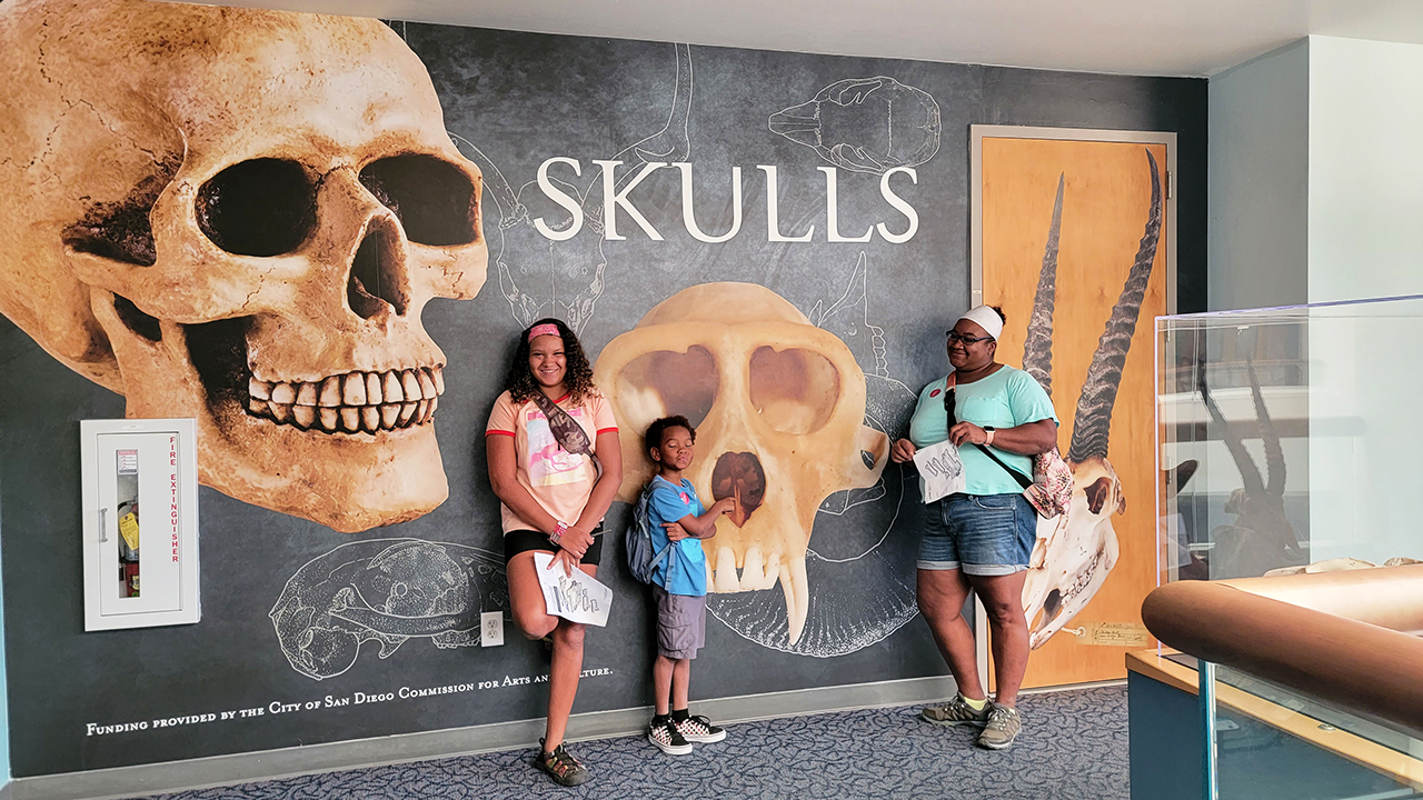 Gallery collage photo